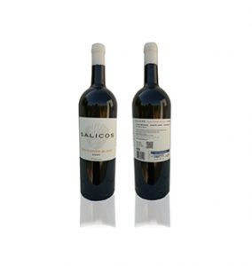 P5_montedesalicos
